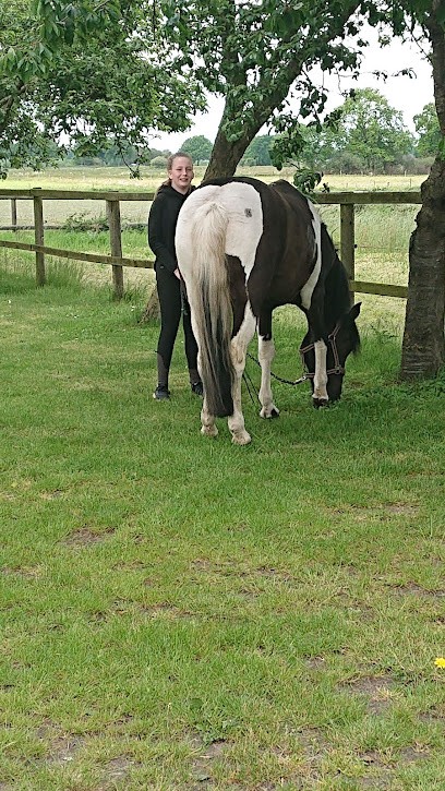 Wilfried Haesloop, Blumenladen in Stuhr