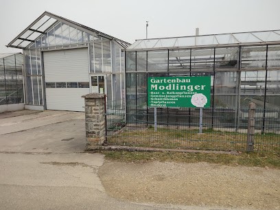 Gärtnerei Modlinger, Blumenladen in Odelzhausen