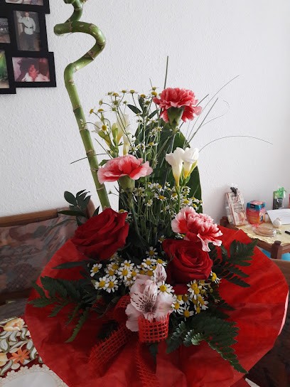 Blumenpavillon Grigo Inhaber Falten, Blumenladen in Senftenberg