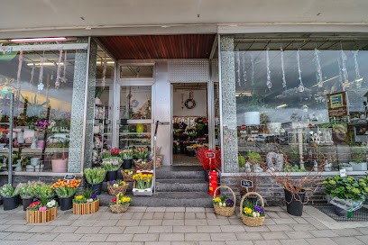 Blumen Spangenberg Dinslaken, Blumenladen in Dinslaken