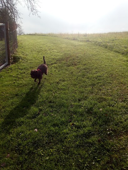 G. Schäfer, Blumenladen in Krombach