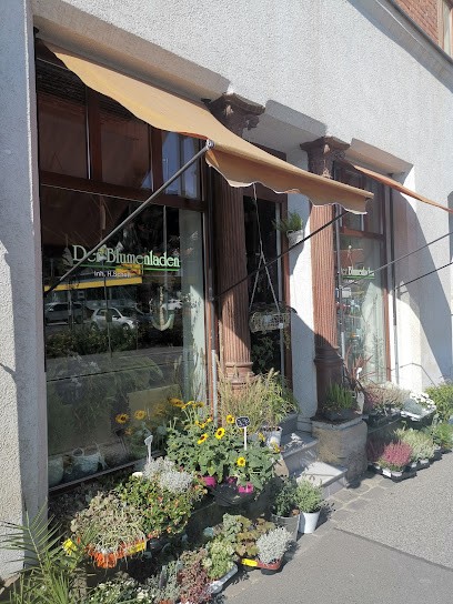 Blumenladen Schott Inh. Oliver Schott, Blumenladen in Sonneberg