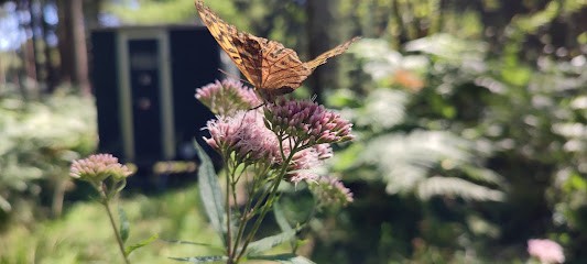 Flower-Power, Blumenladen in Roetgen