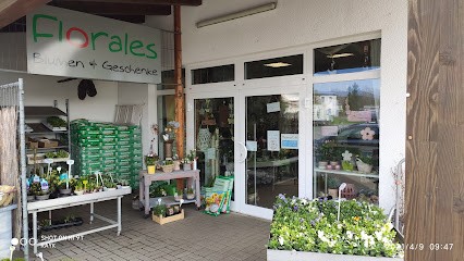 Blumen Und Geschenke Inh. Jürgen Schütz, Blumenladen in Krayenberggemeinde