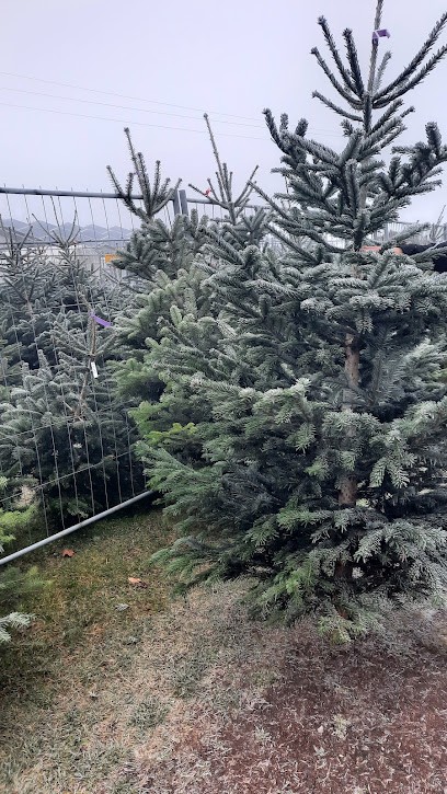 Löcke, Blumenladen in Werne