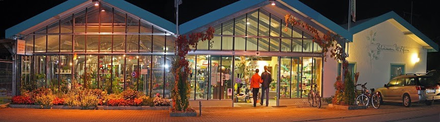 Blumen Wolf - Grüner & Bunter, Blumenladen in Marktoberdorf