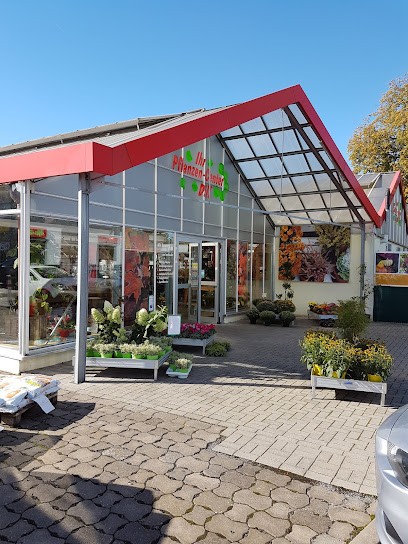 Pflanzencenter Dill, Blumenladen in Minden