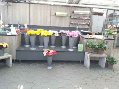 Gärtnerei Kampermann, Blumenladen in Gelsenkirchen