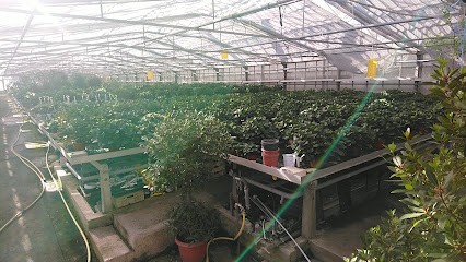 Blumen Heep E.K., Blumenladen in Hadamar