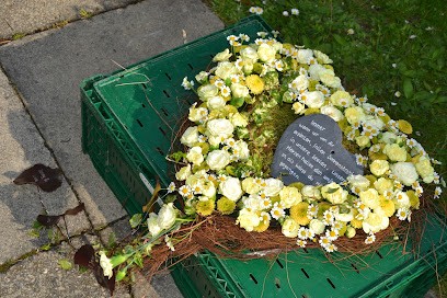 Binderei - Blumenladen Mitschke, Blumenladen in Ebersbach