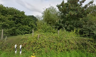 Kakteengärtnerei Klein-Mexico, Blumenladen in Reinfeld