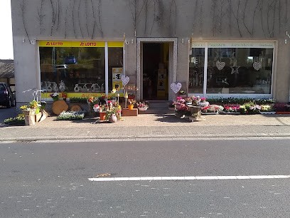 Hedera helix, Blumenladen in Montabaur