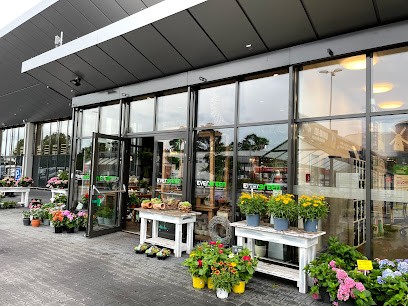 Evergreen Blumen, Blumenladen in Meppen