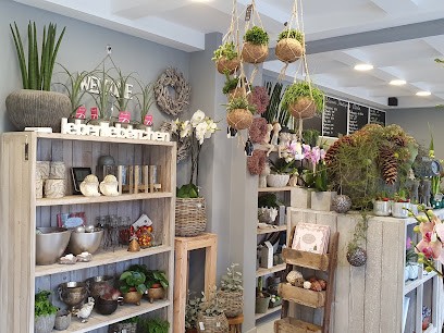 Blumen Boutique Olivia, Blumenladen in Bad Pyrmont