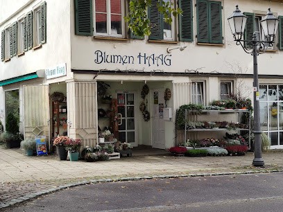 Blumen Haag, Blumenladen in Heubach