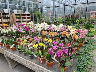 Blumenladen Dachau | Gärtnerei Diehm, Blumenladen in Dachau