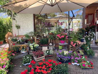 Blumenhaus Lang, Blumenladen in Reinheim