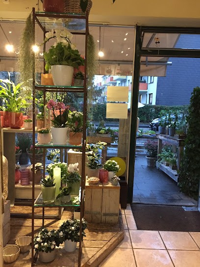 Rothkopf Floristik, Blumenladen in Duisburg