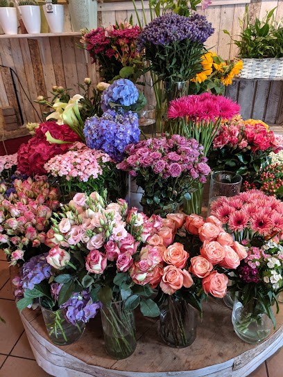 Ilonas Blumenparadies, Blumenladen in Frechen