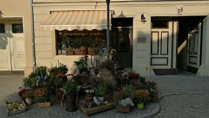 Iwona Tietz Blumenstube, Blumenladen in Luckenwalde