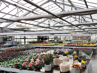 Blumenhaus Gärtnerei Weißhaupt - Dominik Weißhaupt GmbH & Co.KG, Blumenladen in Meckenbeuren