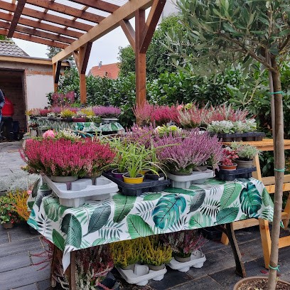 Blumen Greiner, Blumenladen in Remshalden