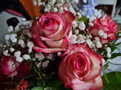 Blumenhaus Heidi Maaß | Seelze, Blumenladen in Seelze