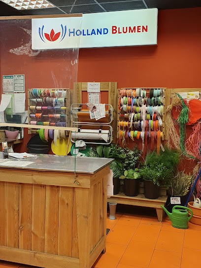 Holland Blumen, Blumenladen in Lage