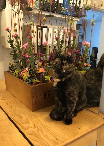 Blumenwerkstatt Susanne König, Blumenladen in Kürten