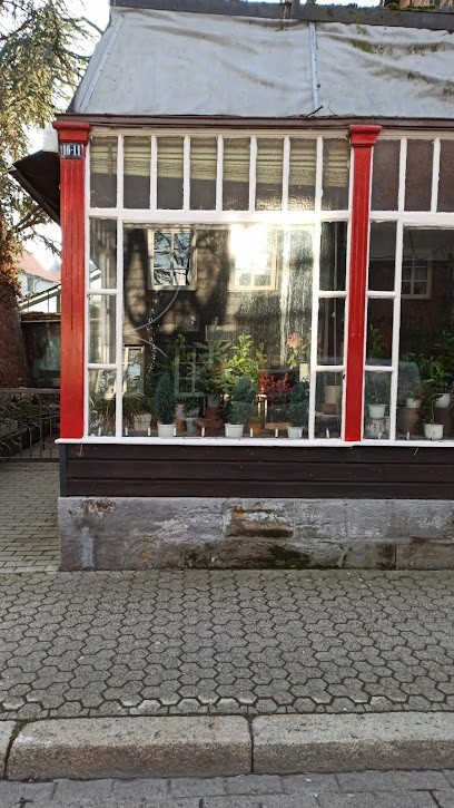 Winkler Heiner, Blumenladen in Goslar