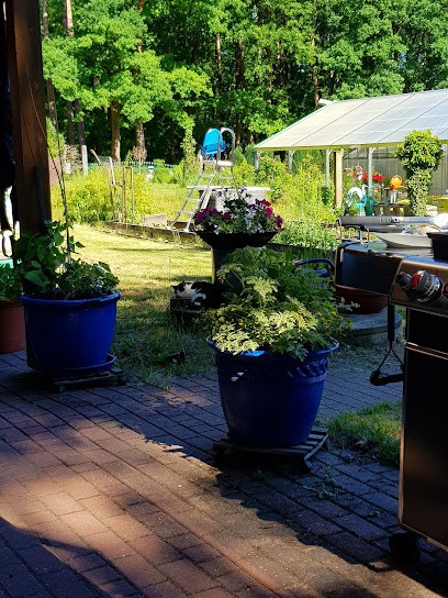 Christina's Gewächhausla, Blumenladen in Wendelstein