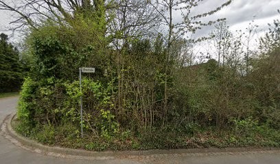 Erich Wesche, Blumenladen in Cremlingen