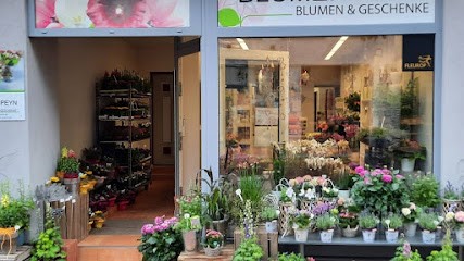 Blumen Peyn, Blumenladen in Itzehoe