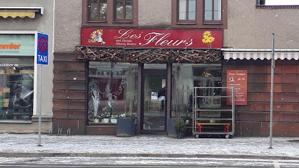 Blumengeschäft Les Fleurs Inh. Iris Siegel, Blumenladen in Radebeul