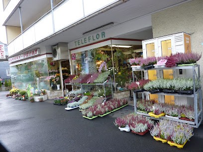 BLUMEN - PETRY, Blumenladen in Radevormwald