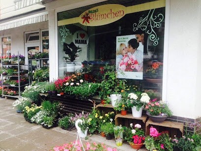 Ahlem's Blümchen, Blumenladen in Hannover