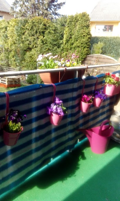 Wohler Blumen, Blumenladen in Struvenhütten