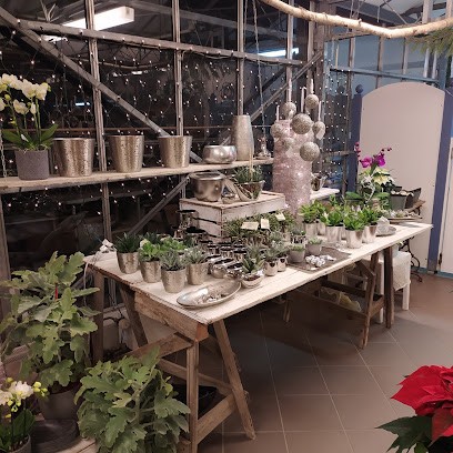 Gärtnerei Veit, Blumenladen in Bachhagel