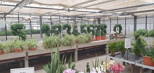 Ulrike Wolf Blumen - Floristik - Grabpflege, Blumenladen in Kalefeld