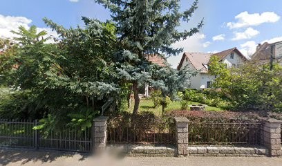 Ilona Franz, Blumenladen in Sonneborn