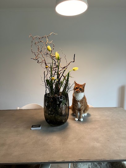 Floristik Anke Michalski, Blumenladen in Varel