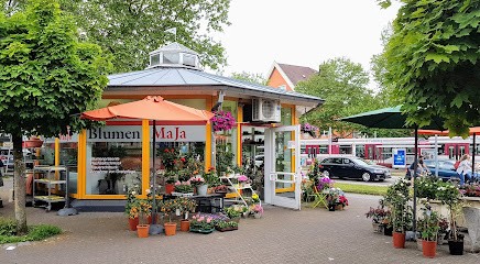 Blumen MaJa, Blumenladen in Freiburg im Breisgau