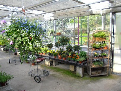 Blumen Henger, Blumenladen in Bergheim