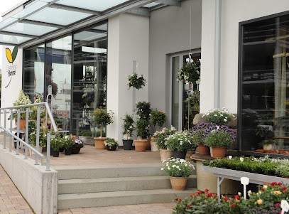 Dietterlein - Henne OHG, Blumenladen in Reutlingen