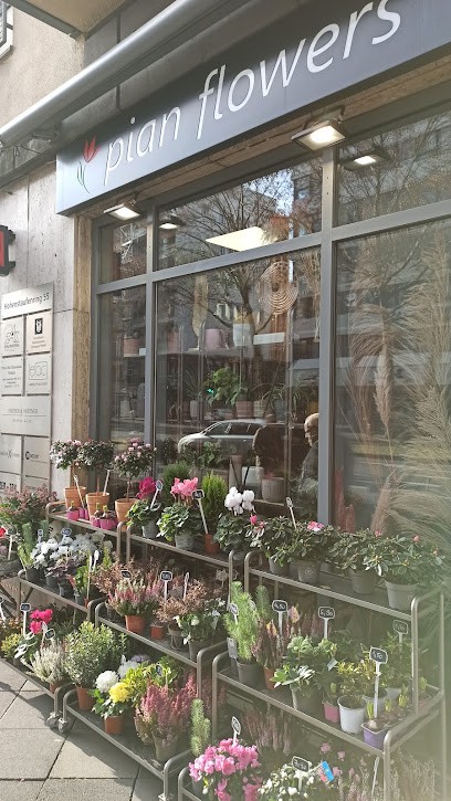 blumen pian flowers, Blumenladen in Köln