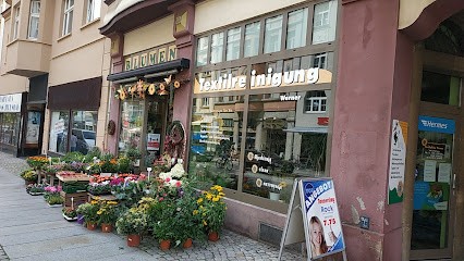 Blumenfachgeschäft Steglich, Blumenladen in Bautzen