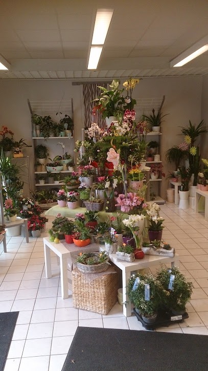 Pusteblume, Blumenladen in Stadtilm