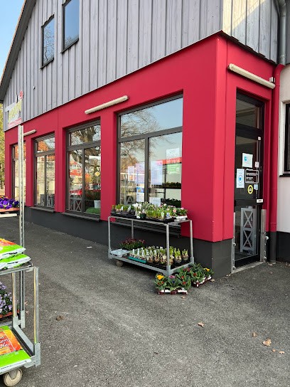 Blumen & Floristik Bobon, Blumenladen in Seesen