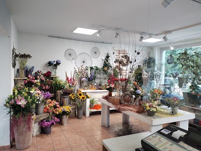 Blumenhaus Pfriem, Blumenladen in Coswig