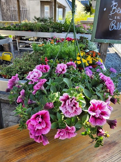 Blumenhaus-Gartenbau Thomas Grell, Blumenladen in Lampertswalde